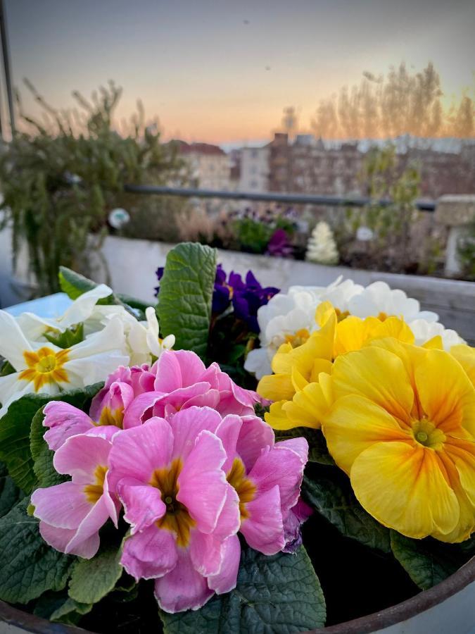 Apartment Attico&nuvole Turin